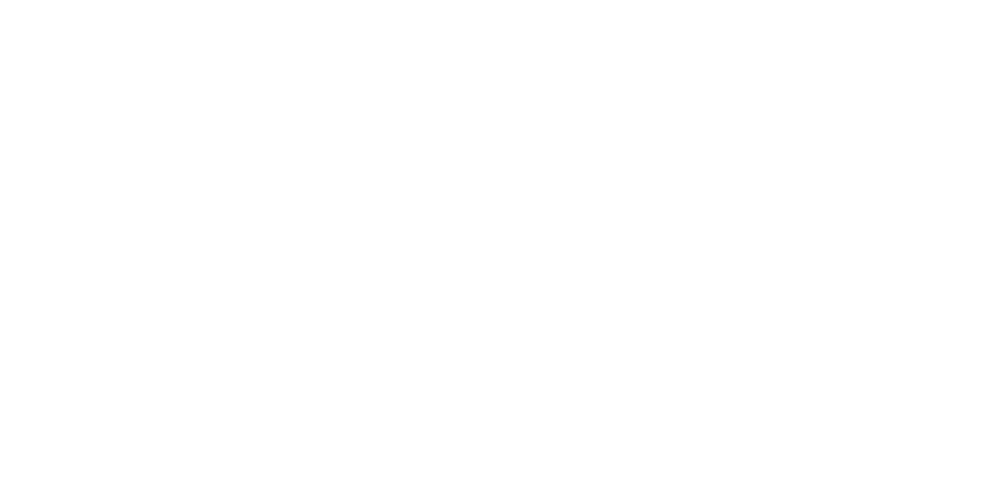 aegis-cybersecurity-high-resolution-logo-transparent (4) (1)